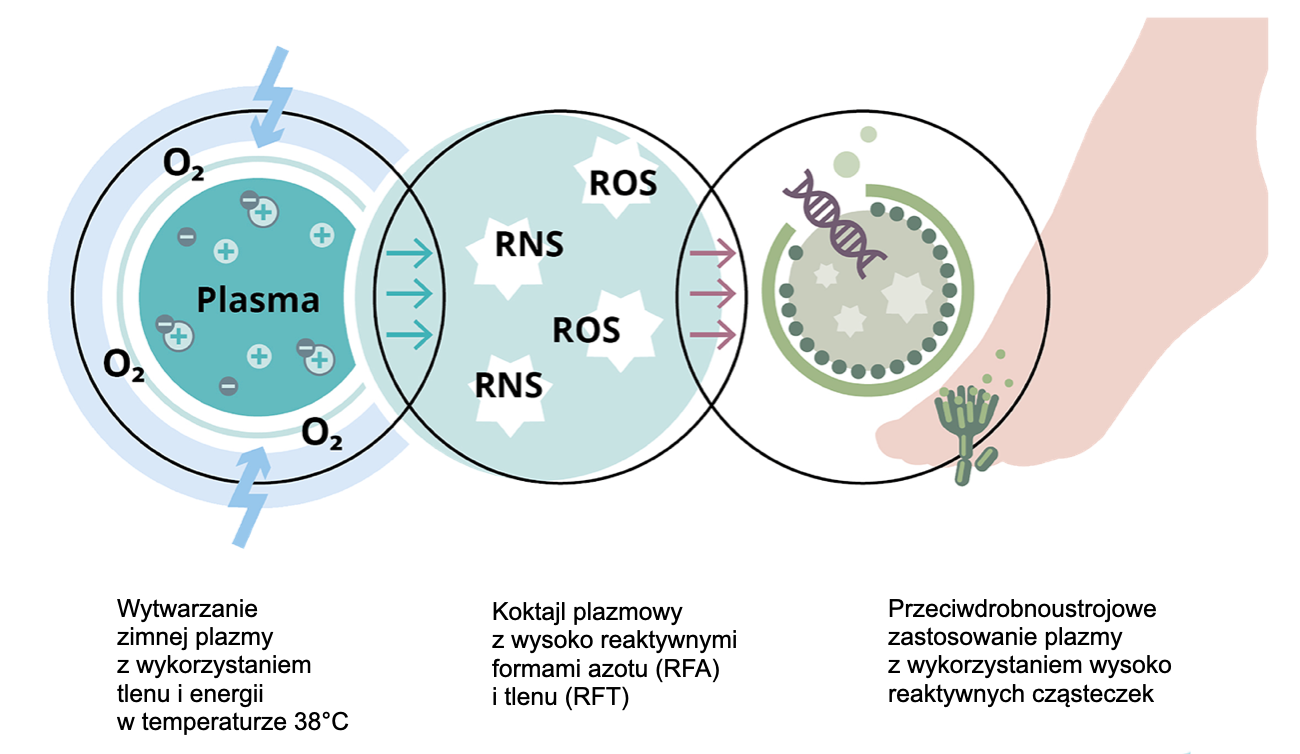 Schemat powstawania aktywnego koktajlu cząsteczek tlenu i azotu